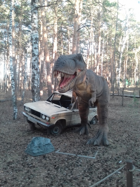 "Живой уголок"