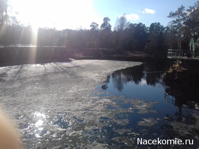 "Живой уголок"