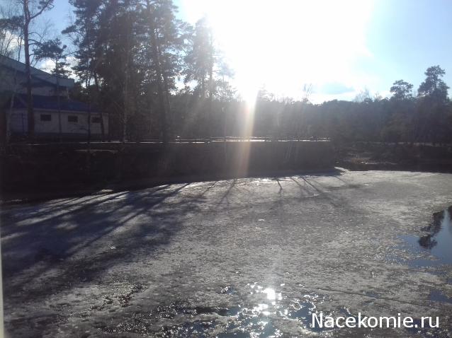 "Живой уголок"