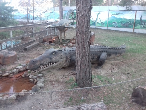 "Живой уголок"