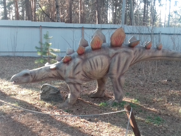 "Живой уголок"