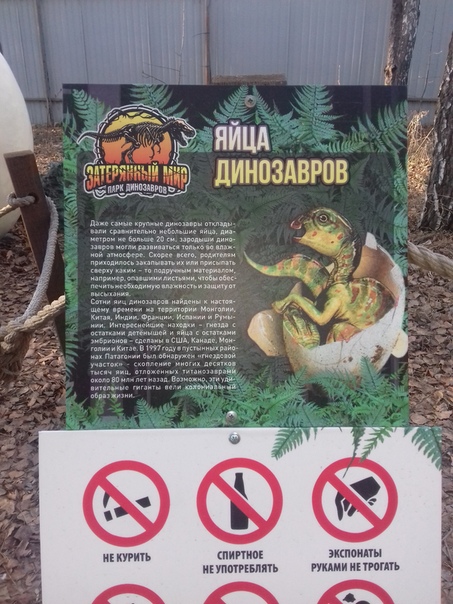 "Живой уголок"