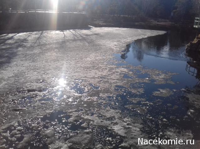 "Живой уголок"