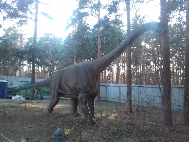 "Живой уголок"