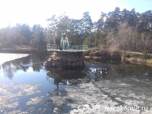 "Живой уголок"