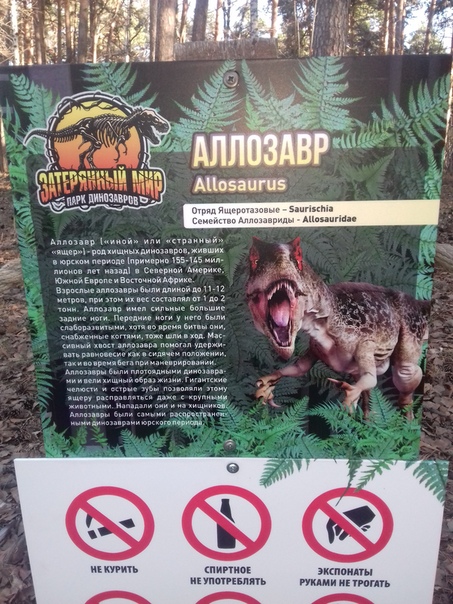 "Живой уголок"