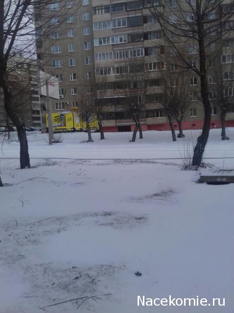 "Живой уголок"