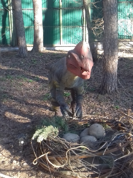 "Живой уголок"