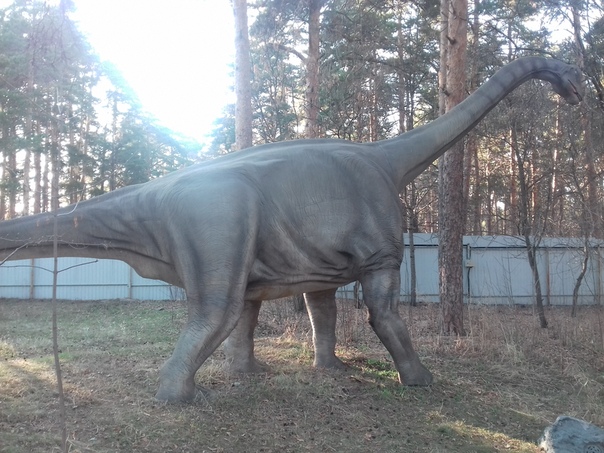 "Живой уголок"