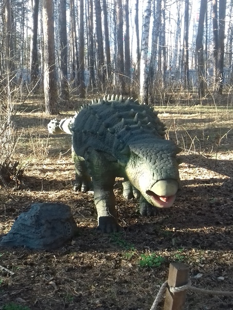 "Живой уголок"