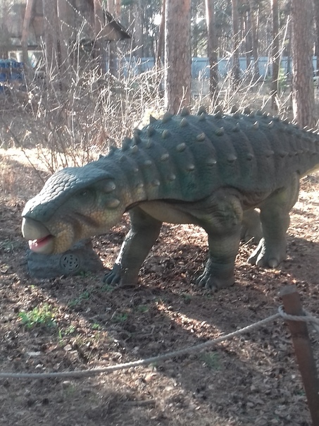 "Живой уголок"