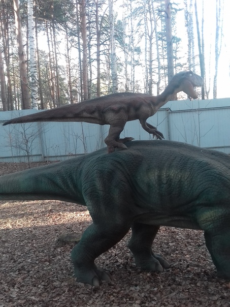 "Живой уголок"