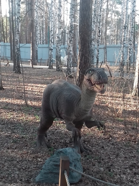 "Живой уголок"