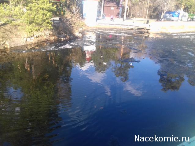 "Живой уголок"