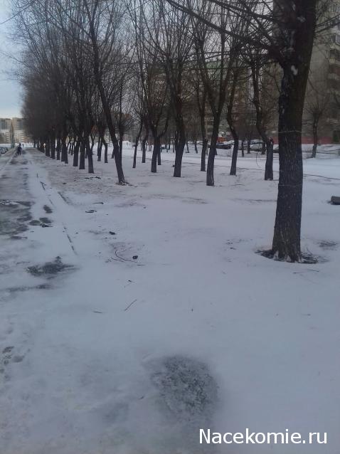 "Живой уголок"