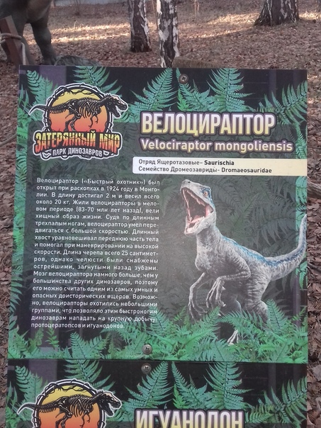 "Живой уголок"