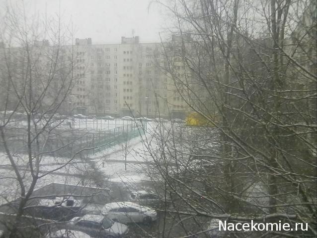 "Живой уголок"