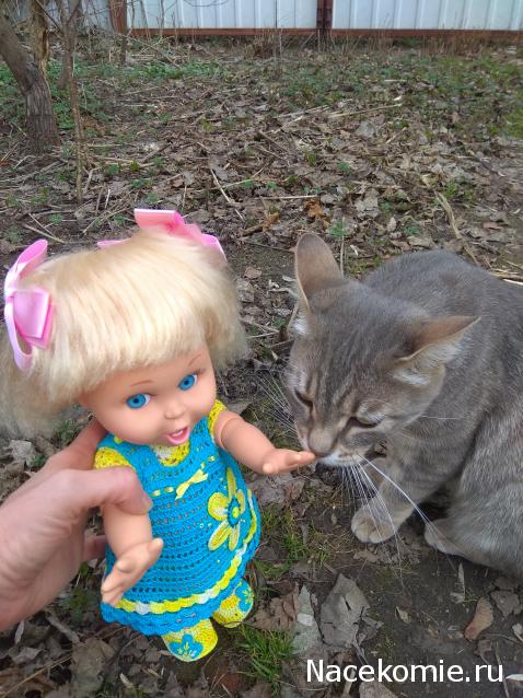 Фото кошек)))))