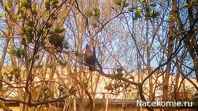 "Живой уголок"