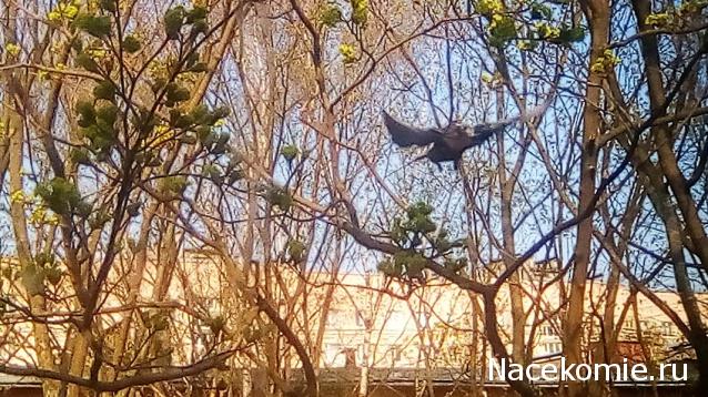 "Живой уголок"