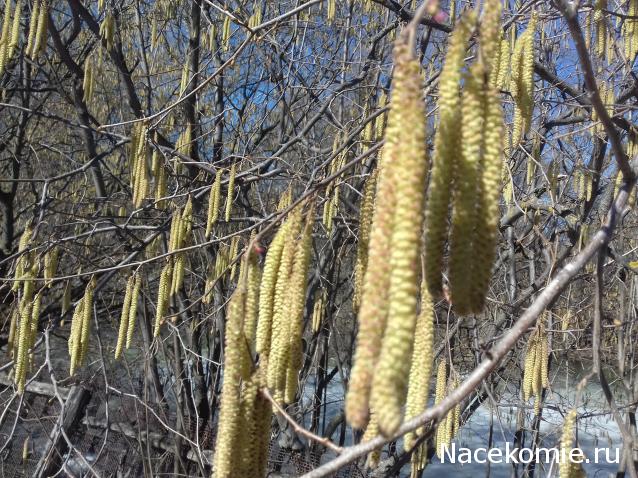 "Живой уголок"