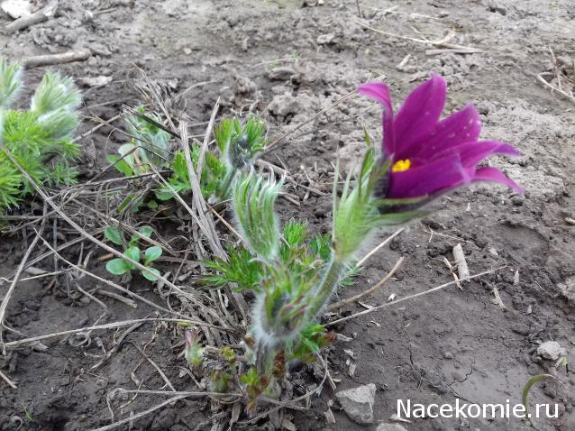 "Живой уголок"