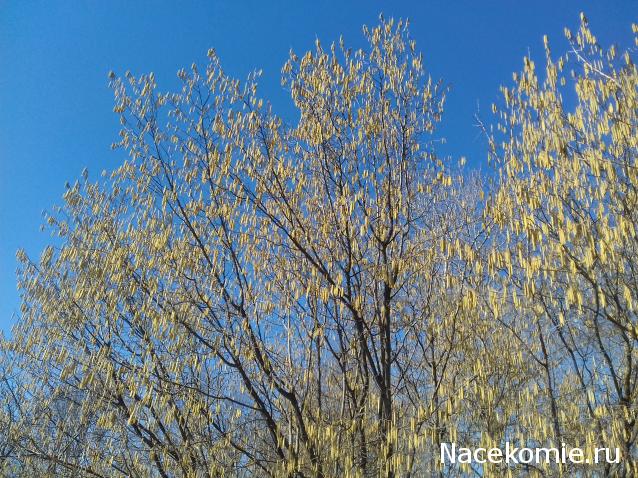 "Живой уголок"