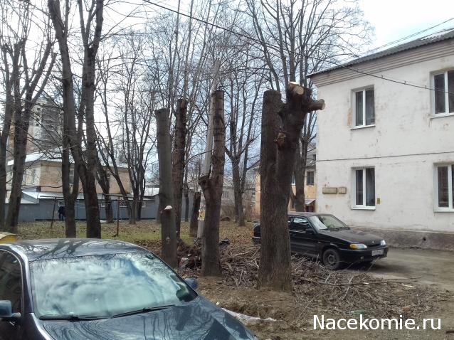 "Живой уголок"