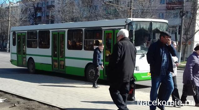 О транспорте и не только...