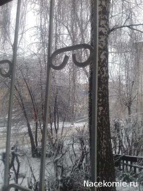 "Живой уголок"