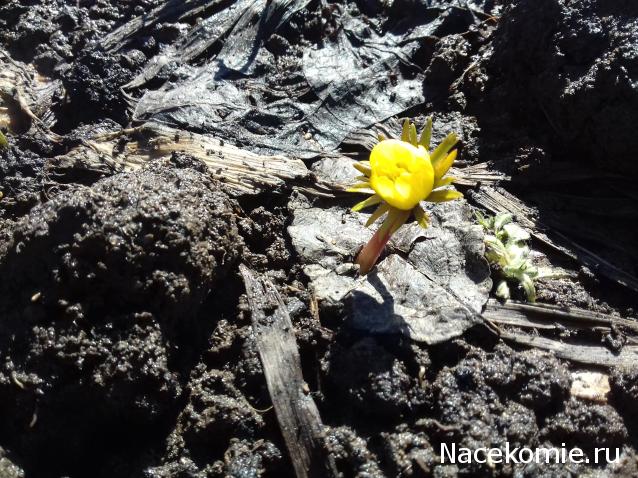 "Живой уголок"