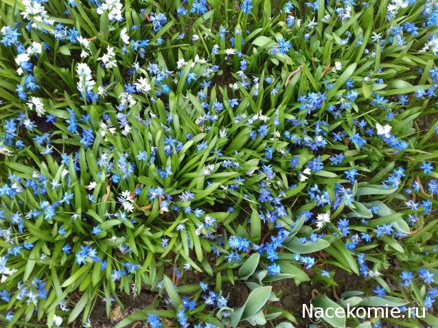 "Живой уголок"