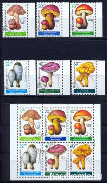 Почтовые марки Мира №240