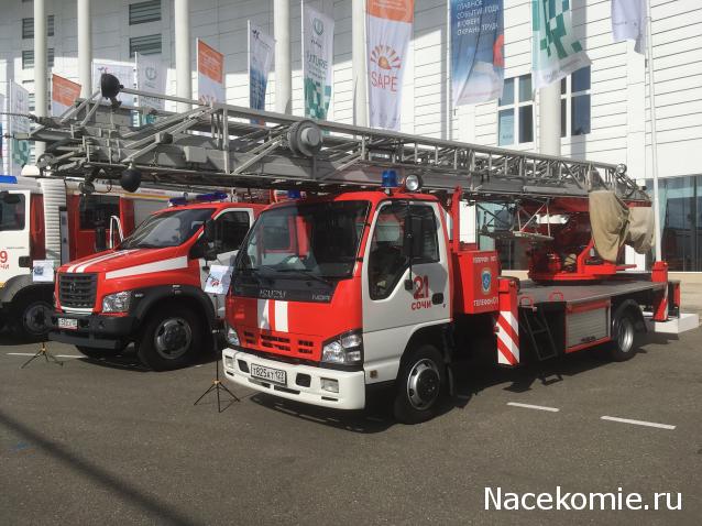 Автолегенды вживую