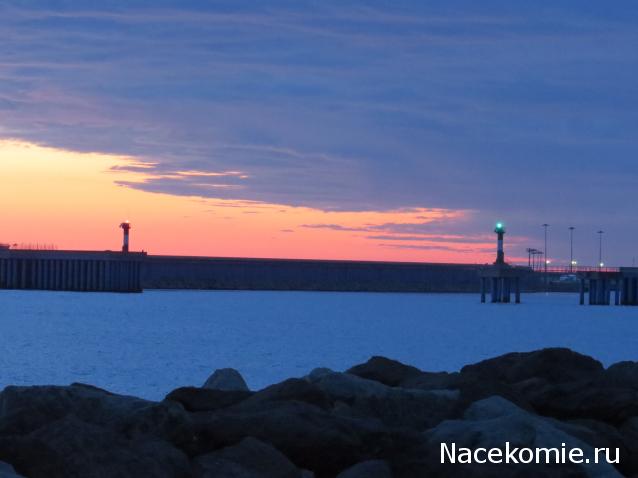 "Живой уголок"