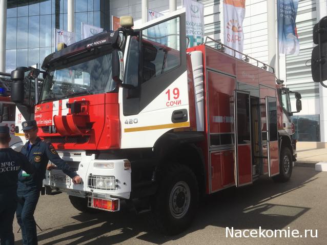 Автолегенды вживую