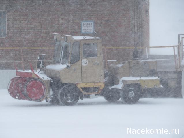 Автолегенды вживую