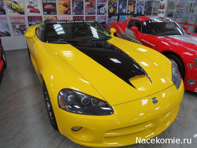 Автолегенды вживую