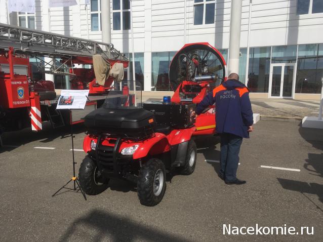 Автолегенды вживую