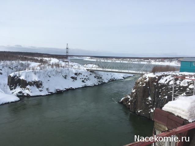 "Живой уголок"