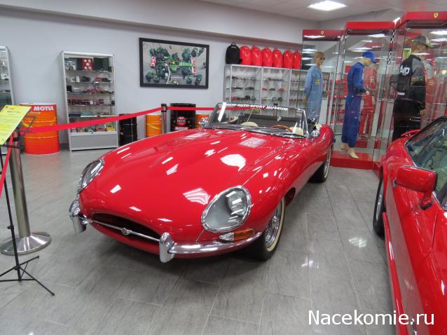 Автолегенды вживую