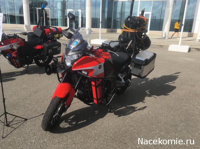 Автолегенды вживую