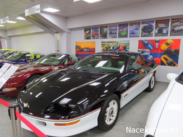 Автолегенды вживую