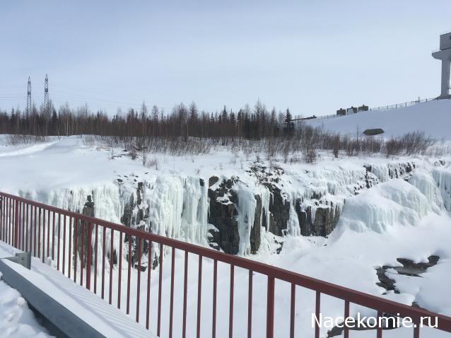 "Живой уголок"