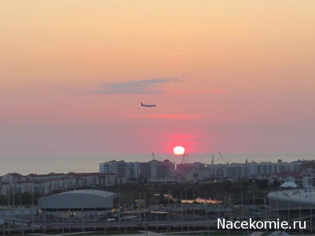 "Живой уголок"