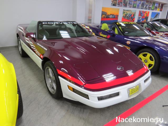 Автолегенды вживую