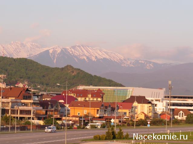 "Живой уголок"