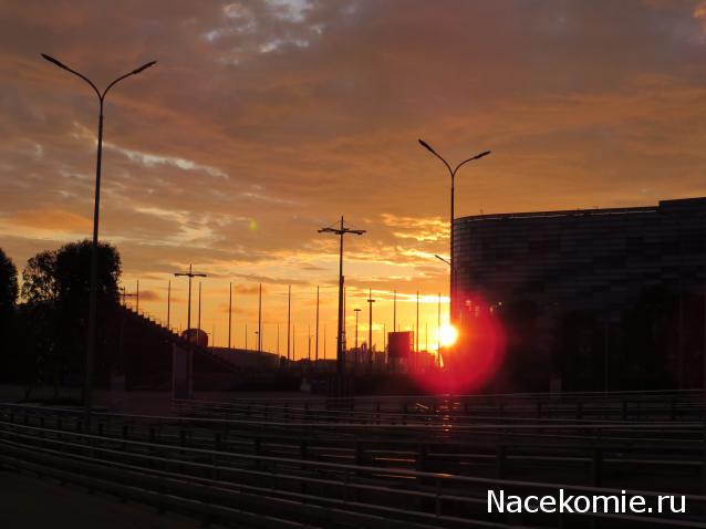 "Живой уголок"