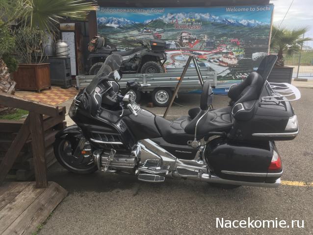 Автолегенды вживую