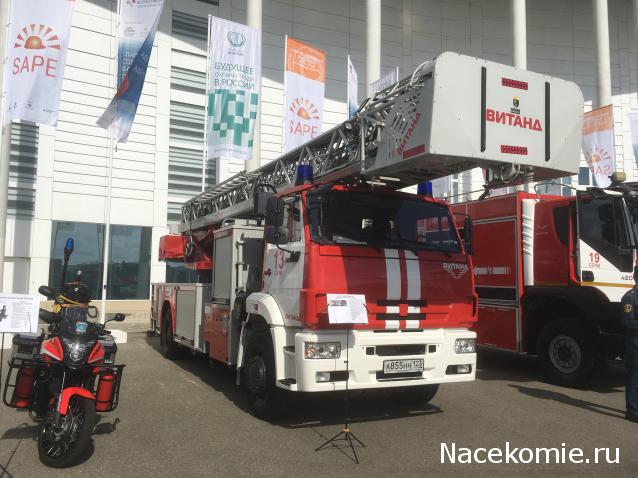 Автолегенды вживую